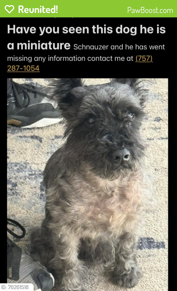Reunited Male Dog last seen Military highway, Chesapeake, VA 23321