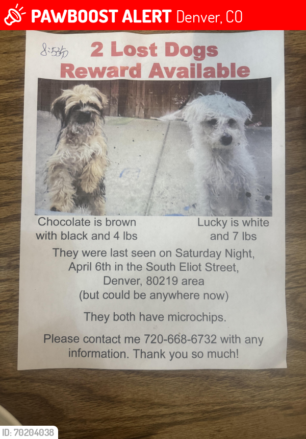 Lost Female Dog last seen Near , Denver, CO 80219