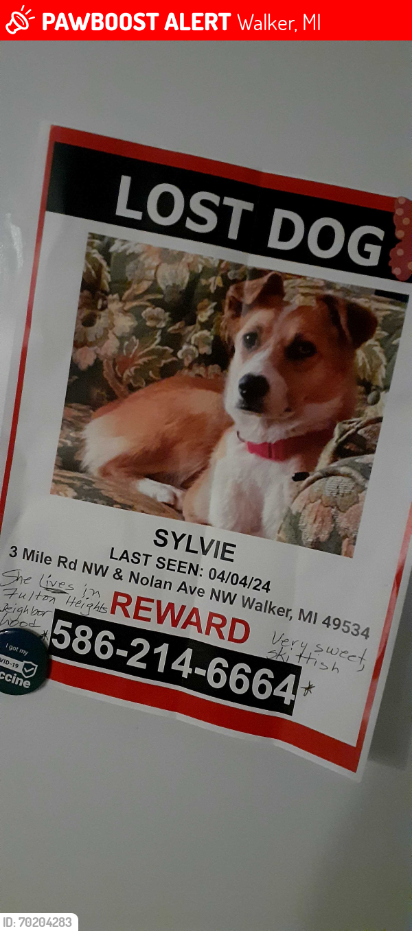 Lost Female Dog last seen 3 Mile and Nolan NW, Walker, MI 49534
