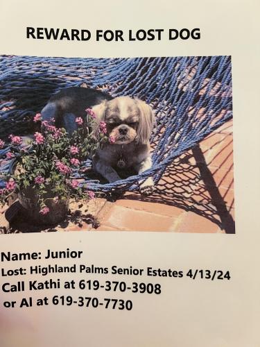Lost Male Dog last seen Highland Palms Senior ests , Homeland, CA 92548