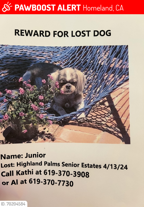 Lost Male Dog last seen Highland Palms Senior ests , Homeland, CA 92548