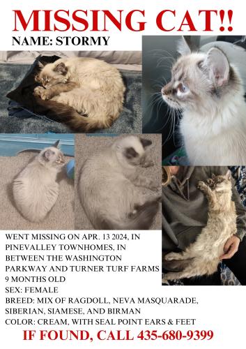 Lost Female Cat last seen Washington parkway, Washington, UT 84780