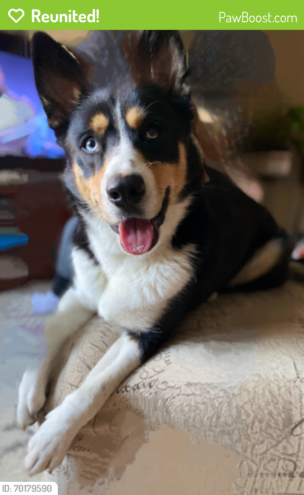 Reunited Female Dog last seen 36th Ave South and east 36th st, Minneapolis, MN 55406