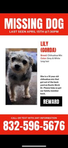Lost Female Dog last seen Almeda Genoa Rd, Orem Dr, Telephone Rd, Mykawa, Houston, TX 77075