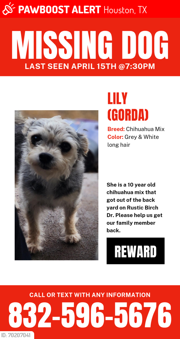 Lost Female Dog last seen Almeda genoa, Houston, TX 77075