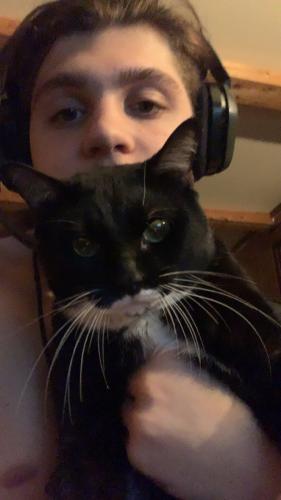 Lost Male Cat last seen orleans and broad, Tampa, FL 33604
