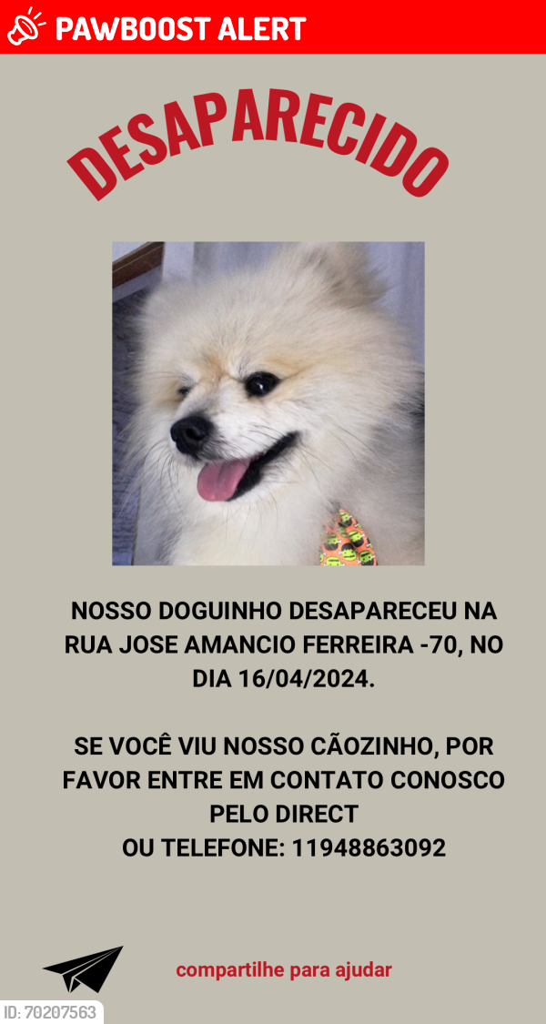 Lost Male Dog last seen pazzini/jardim kuabara , Jardim Kuabara, SP 06753-200