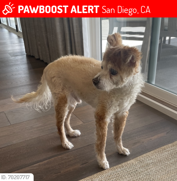 Lost Male Dog last seen Carmel Mountain rd and Cloudbreak Ave. , San Diego, CA 92129