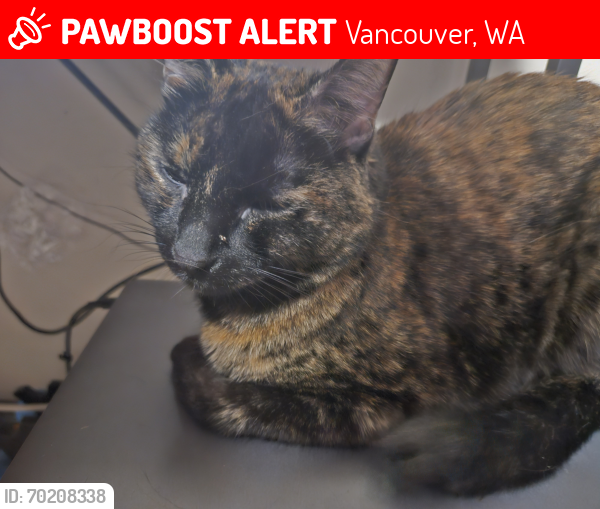Lost Female Cat last seen Near NE 117th Ave, Vancouver, WA 98662, Vancouver, WA 98662
