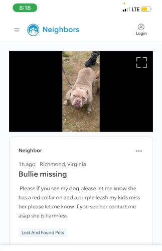 Lost Female Dog last seen North side , Richmond, VA 23222