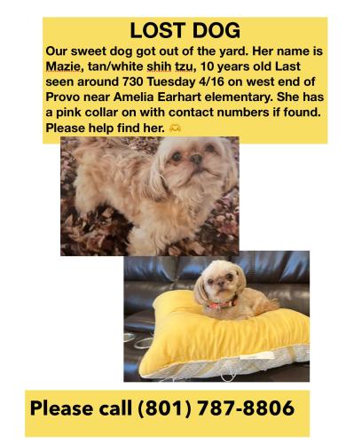Lost Female Dog last seen On the corner, Provo, UT 84601