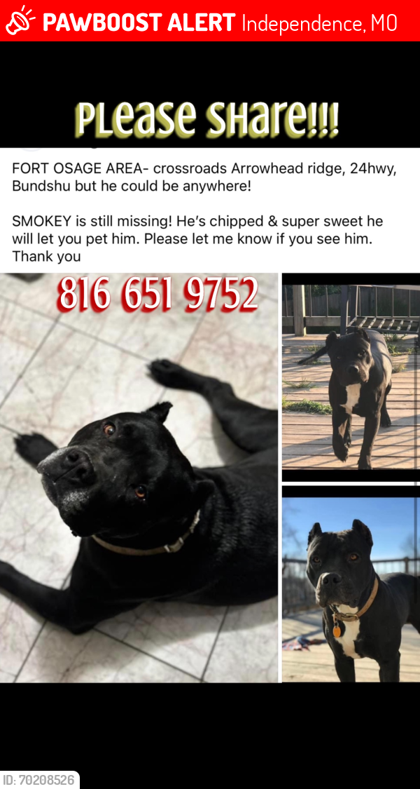 Deceased Male Dog last seen Arrowhead ridge, 24 highway, Bundshu Fort Osage area , Independence, MO 64056