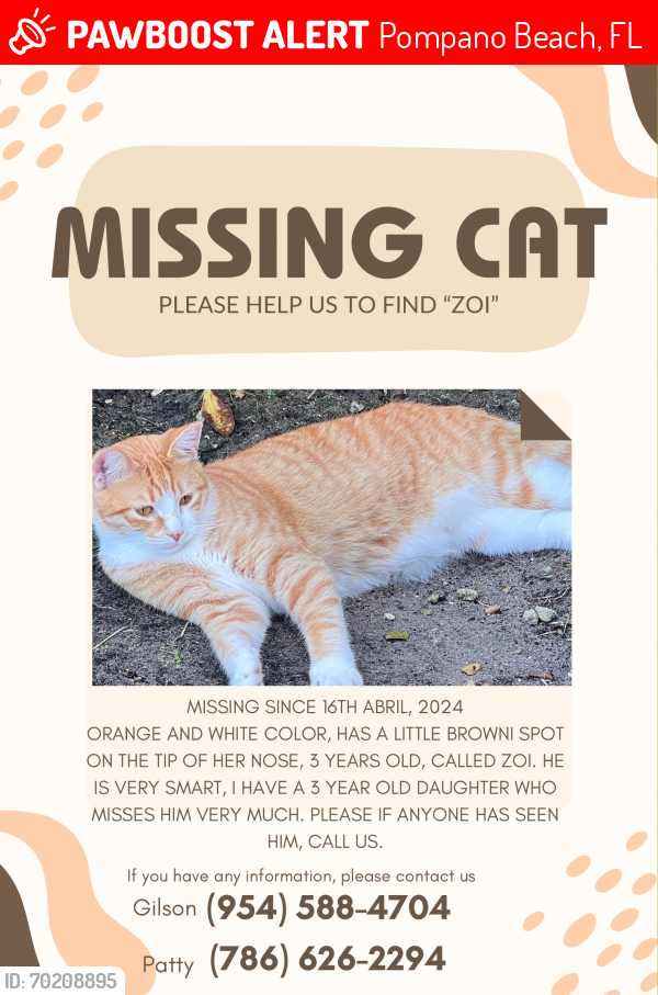 Lost Male Cat last seen Near N Military Trail Deerfield Beach, FL 33064 United States, Pompano Beach, FL 33064