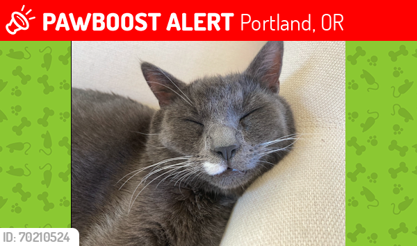 Lost Male Cat last seen Se 112th and Flavel near Henderson St, Portland, OR 97266