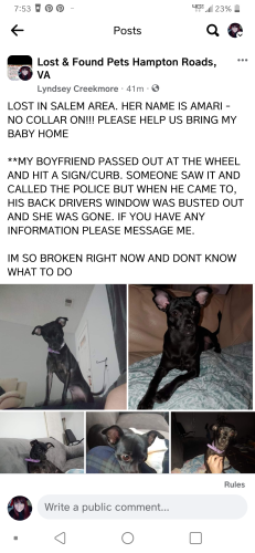 Lost Female Dog last seen Salem, Virginia Beach, VA 23456