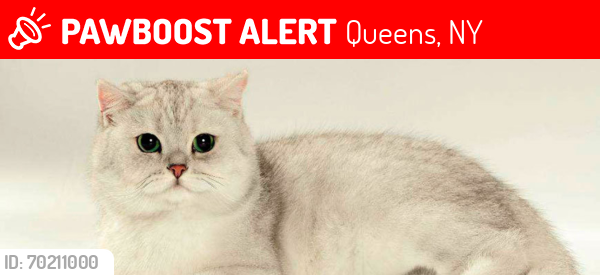 Lost Male Cat last seen By Bowne park. , Queens, NY 11358