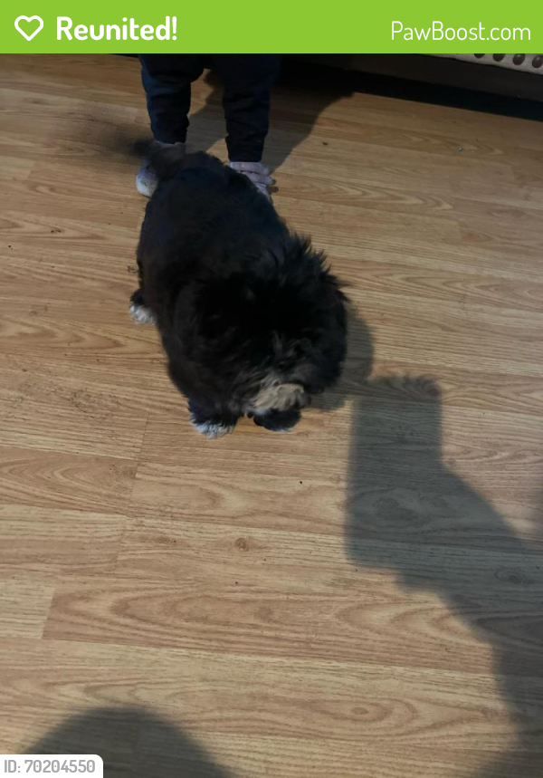 Reunited Female Dog last seen Hi , we just bought this puppy , she got out the hse and we can’t find her. Her name is Nala. She is black with white please let me know if you have seen her. , San Jose, CA 95111