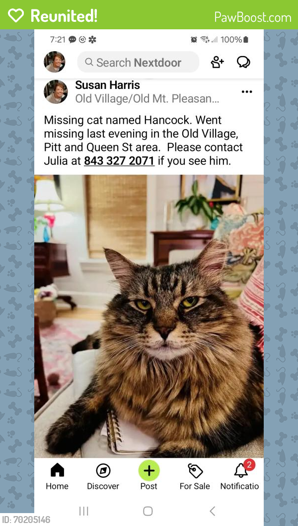 Reunited Male Cat last seen Queen Street, Pitt Street, McCants, Mount Pleasant, SC 29464