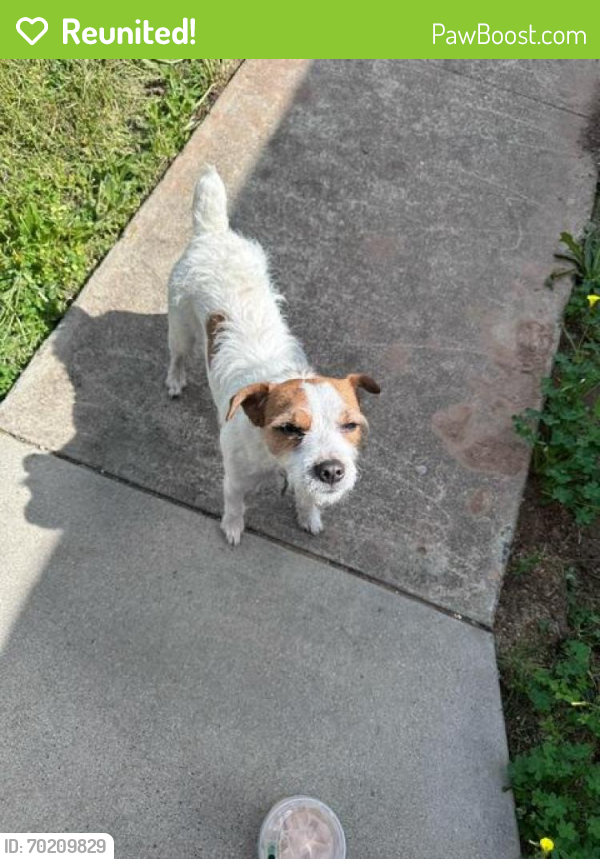 Reunited Male Dog last seen 137th & Los Conches Rd E, El Cajon, CA 92021