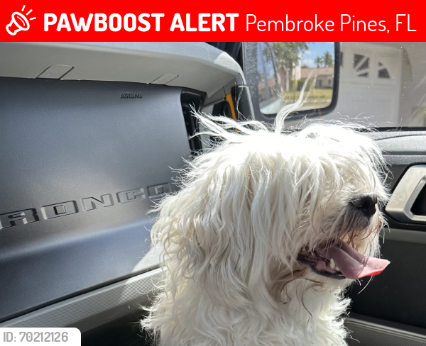 Lost Unknown Dog last seen 184th by Silver Trails Middle School, Pembroke Pines, FL 33029