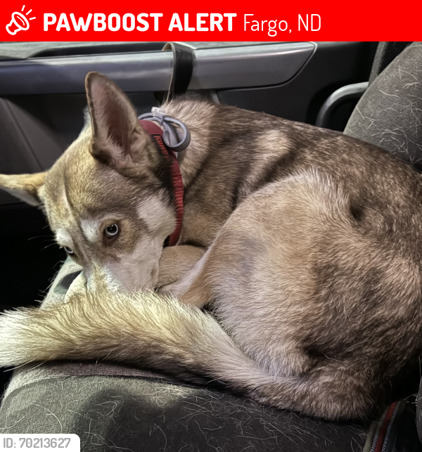 Lost Female Dog last seen Petro travel center, Fargo, ND 58103