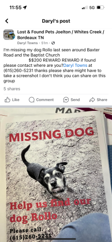 Lost Male Dog last seen Baxter road joelton tn, Nashville, TN 37080