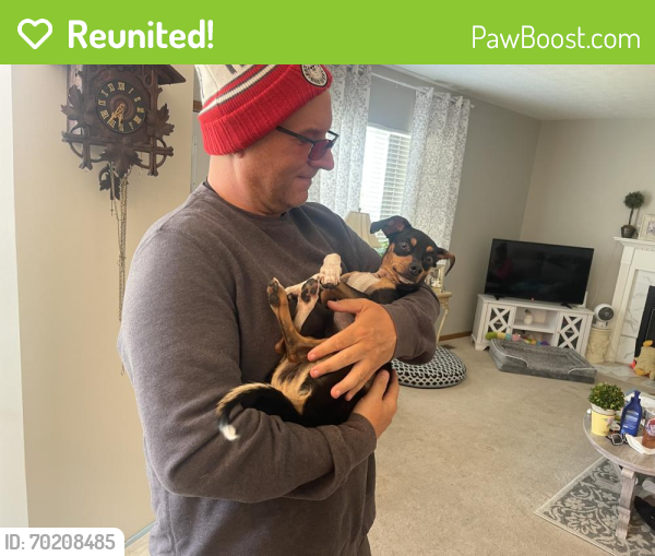 Reunited Male Dog last seen The Goat, New Albany, OH 43054