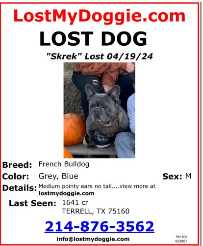 Lost Male Dog last seen I20 and 1641, Terrell, TX 75160