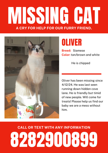 Lost Male Cat last seen Evans and hidden lake , Hendersonville, NC 28739