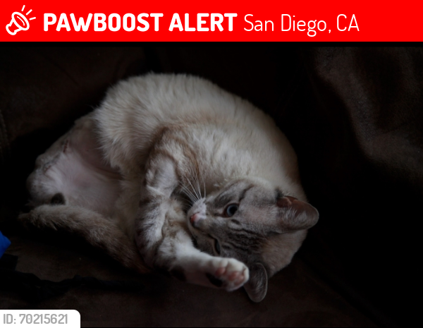 Lost Male Cat last seen montgomery waller park, San Diego, CA 92154