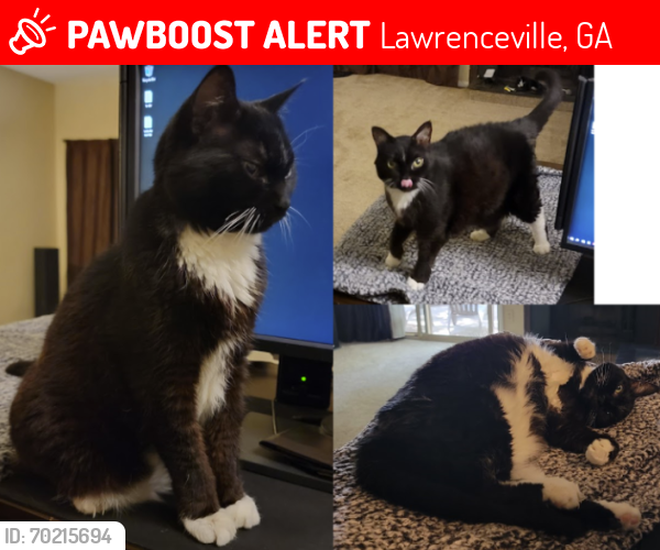Lost Female Cat last seen Sweetwater Road, Lawrenceville, GA 30044