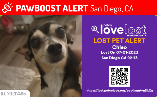 Lost Female Dog last seen Cottonwood St and Yama, San Diego, CA 92113