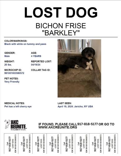 Lost Male Dog last seen Parkside Drive, Jericho, NY 11753
