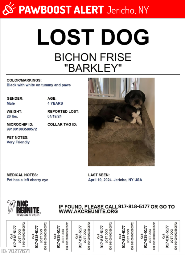 Lost Male Dog last seen Parkside Drive, Jericho, NY 11753