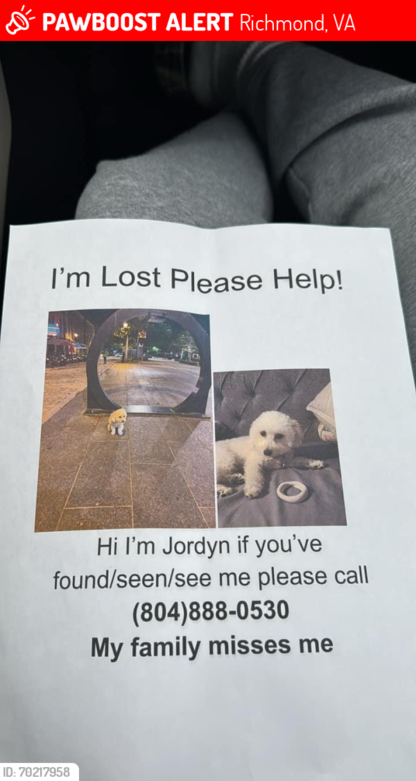 Lost Female Dog last seen Food Lion on Hull street , Richmond, VA 23225