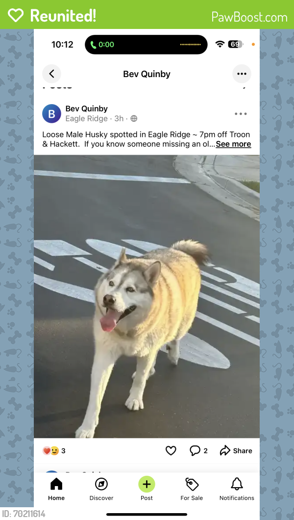 Reunited Male Dog last seen Eagle ridge, Gilroy, CA 95020