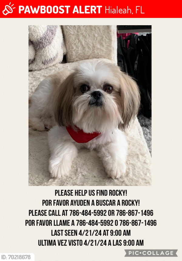 Lost Male Dog last seen At the hse, Hialeah, FL 33015