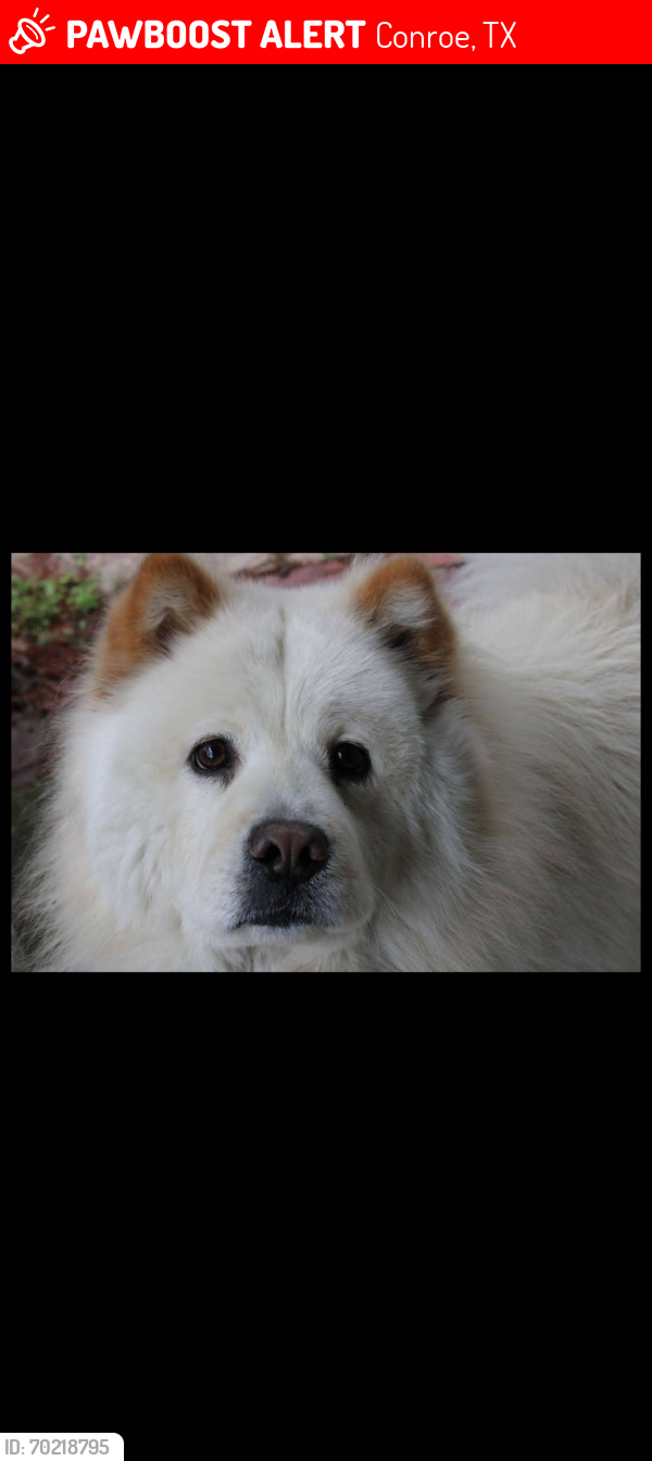 Lost Male Dog last seen Near McGregor bluff ln 77304, Conroe, TX 77304
