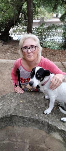 Lost Female Dog last seen Bentley Dr and walzem rd, San Antonio, TX 78218