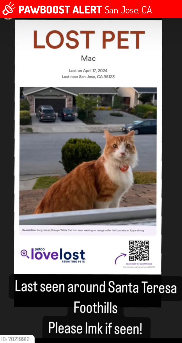 Lost Male Cat last seen Foothills , San Jose, CA 95123