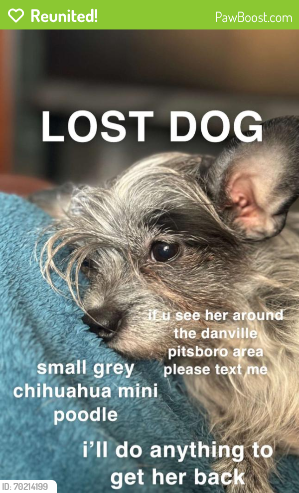 Reunited Female Dog last seen around Bridlewood addition, Danville, IN 46122