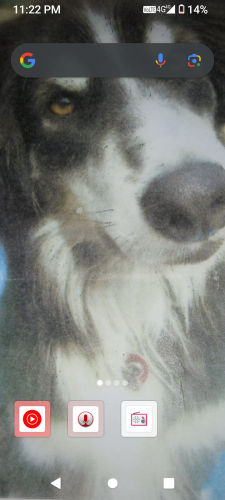 Lost Male Dog last seen Charles Page Boulevard. Tulsa 74127, Tulsa, OK 74135