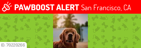 Lost Male Dog last seen dog5, San Francisco, CA 94107