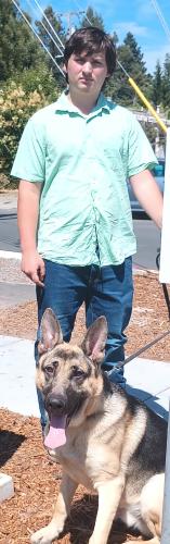 Lost Male Dog last seen South ave, Santa Rosa, CA 95407
