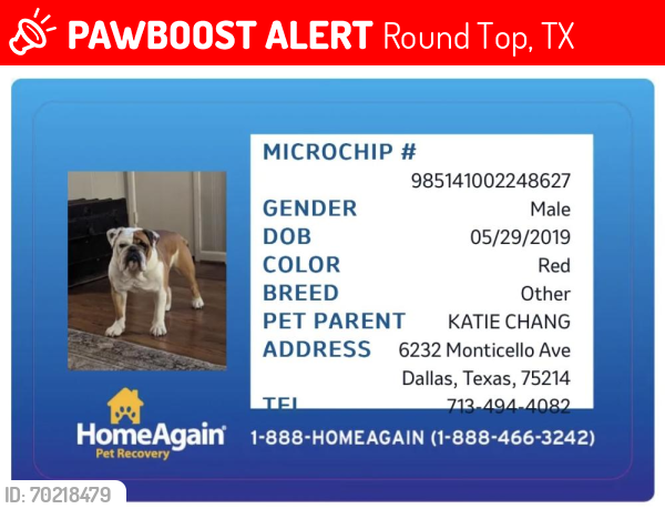 Lost Male Dog last seen Windy knoll wedding venue , Round Top, TX 78954