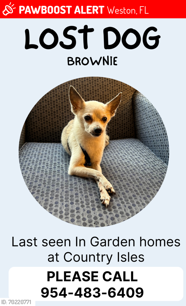 Lost Male Dog last seen weston road and Three village way, Weston, FL 33326