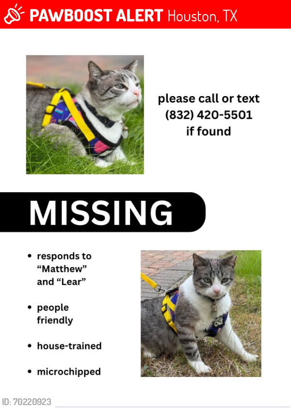 Lost Male Cat last seen South picnic lane, Houston TX near trailhead in picnic area, Houston, TX 77007