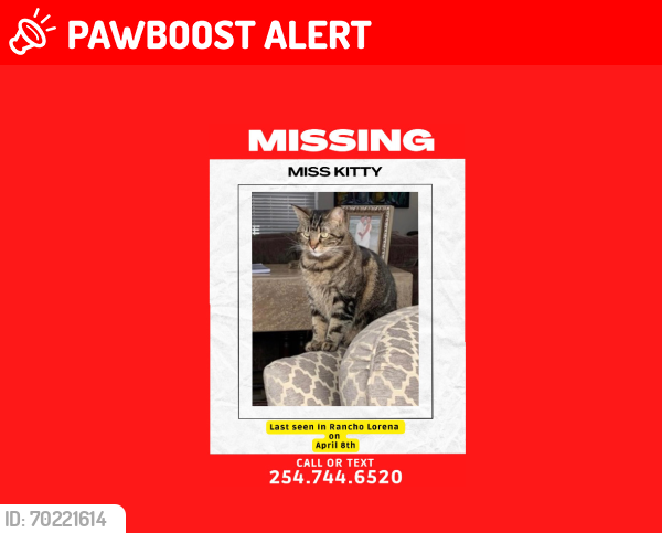 Lost Female Cat last seen RANCHO LORENA, McLennan County, TX 76655