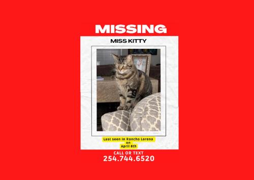 Lost Female Cat last seen RANCHO LORENA, McLennan County, TX 76655
