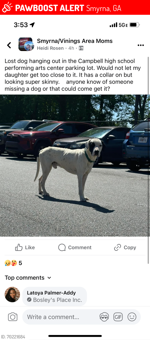 Lost Male Dog last seen Campbell high school performance arts center parking lot, Smyrna, GA 30080